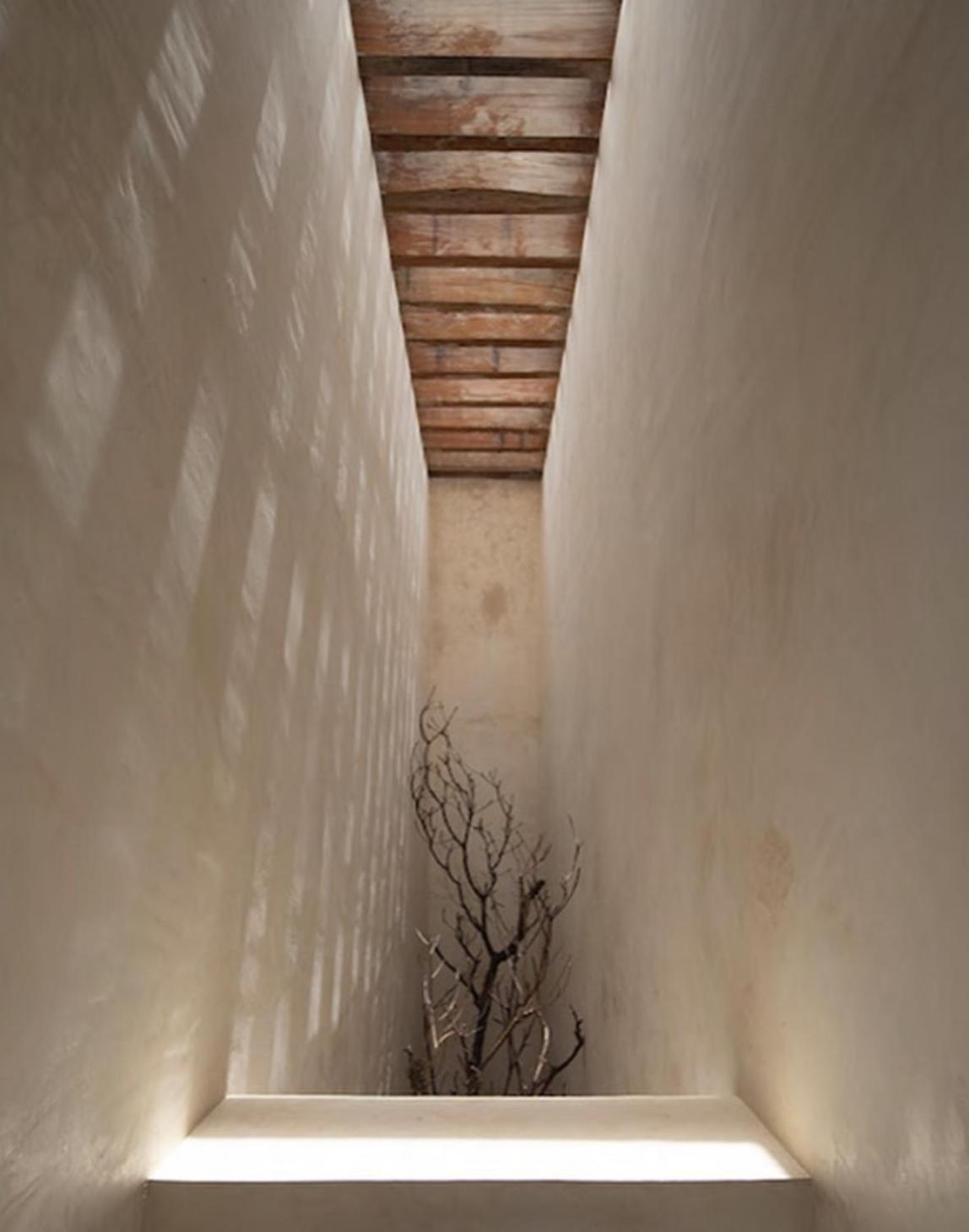 Hotel Casa Chicatana Zapotal 외부 사진
